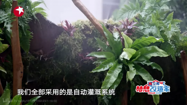 吹爆這個退休老師的110㎡：全屋智慧化、70㎡做收納、38㎡做花園