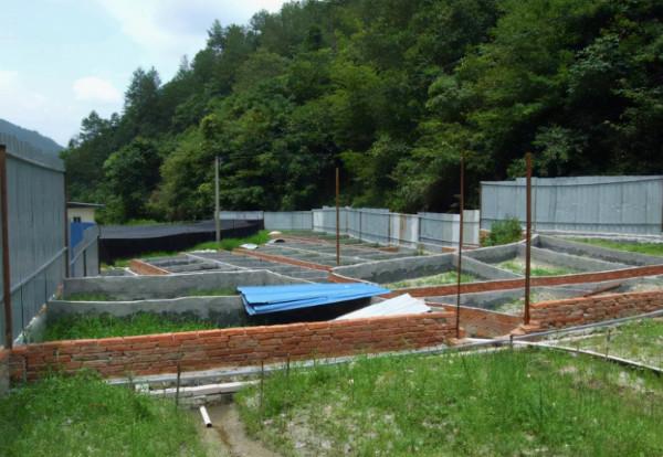 擁有“山珍”之稱的石蛙,高達200元1斤,為何敢養的農民卻不多? 擁有“山珍”之稱的石蛙,高達200元1斤,為何敢養的農民卻不多?