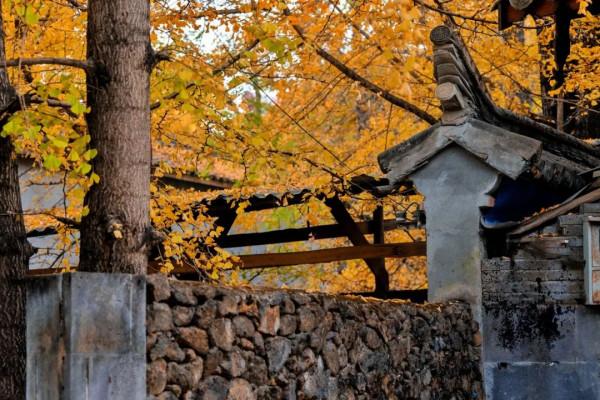 2022年最全旅行清單出爐：欠自己的旅行該還了