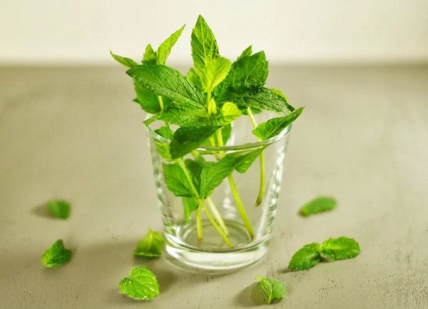 為什麼喉嚨裡總是有痰咳不出又咽不下？