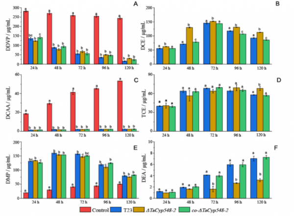 上海交大陳捷教授團隊揭示生防木黴降解有機磷農藥敵敵畏分子機理