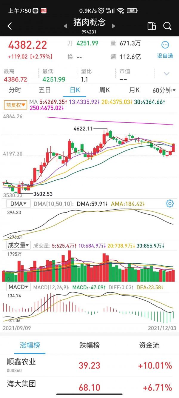 週末訊息放出利好，下週該如何操作