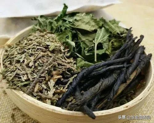 大寒養生重在“藏神、滅四火”