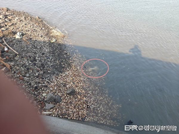 快訊／F-16V飛官搜救第三天！村民尋獲「疑似人腿骨」