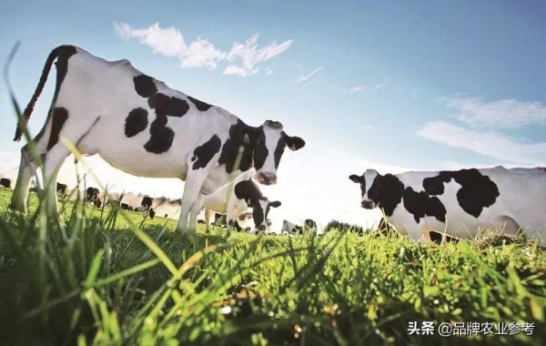 牛奶沒牛；飛行機器人摘蘋果；12&period;5億畫素VR看東北虎｜一週快訊