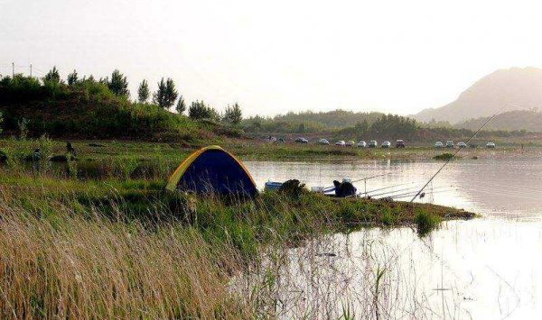 漲潮和退潮,哪一種情況才更適合釣魚 漲潮和退潮,哪一種情況才更適合釣魚