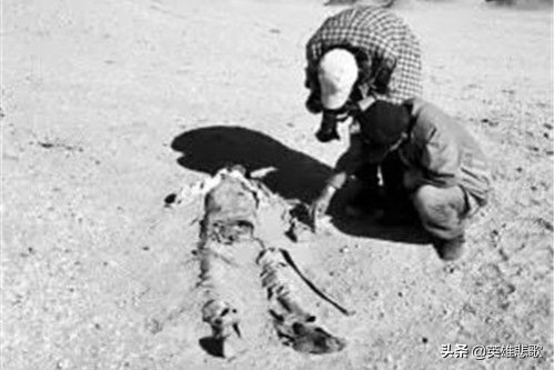 羅布泊的“黑色六月”——探險家餘純順穿越羅布泊遇難細節