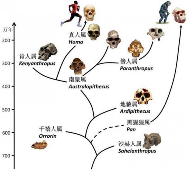 人類活在真實世界中的機率有多大?馬斯克:不到十億分之一 人類活在真實世界中的機率有多大?馬斯克:不到十億分之一