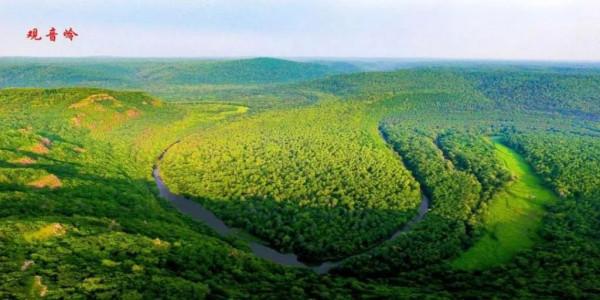 國慶快樂,大貓貓 國慶快樂,大貓貓