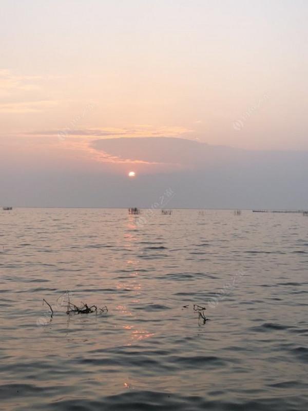 2021垂釣日誌之80，成子湖釣大水面沒想到魚口這麼瘋