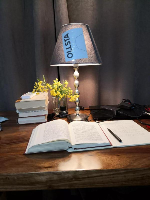 流浪貓狗是一種奇怪的存在