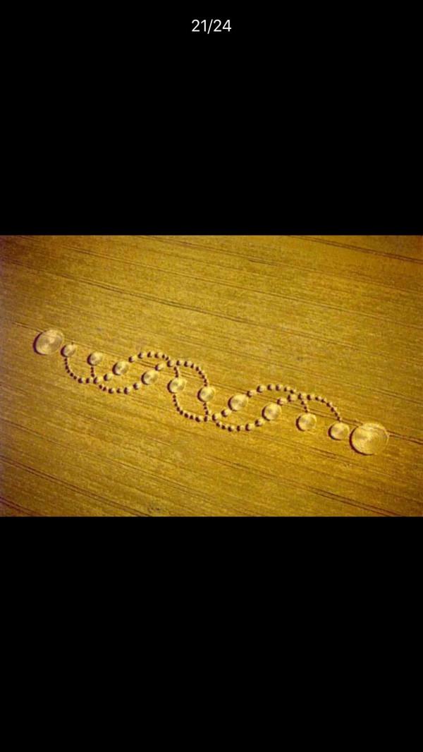 中國還沒有麥田怪圈