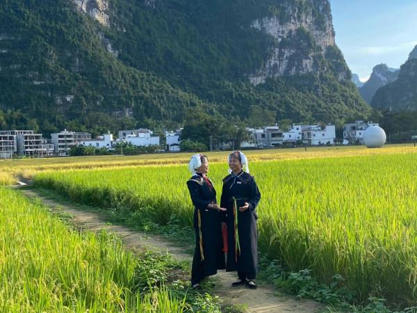 2021”中國大新·明仕旅遊度假區豐收節開幕 2021”中國大新·明仕旅遊度假區豐收節開幕