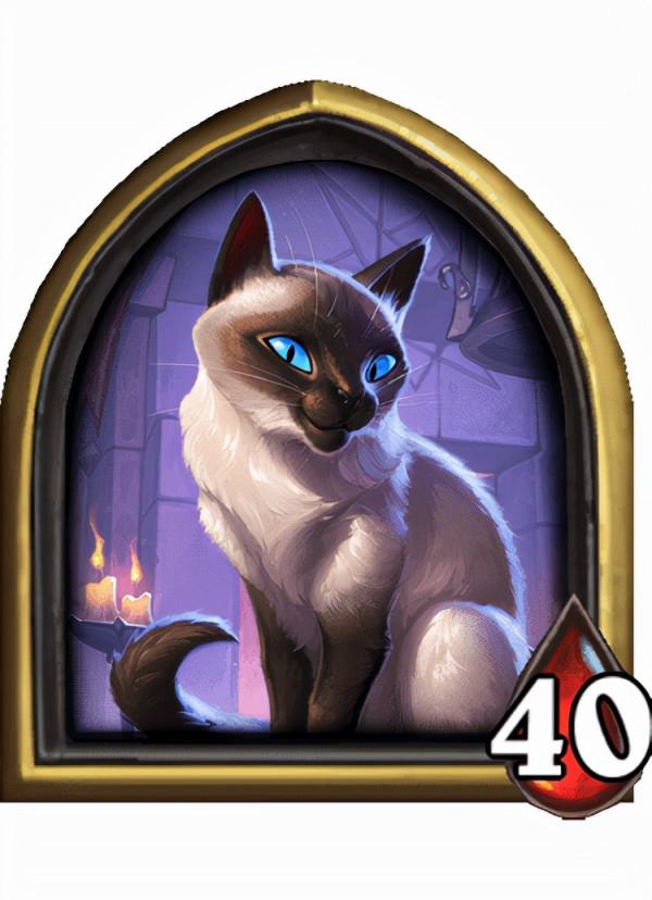 “帶甲為菜逼”?大菠蘿登頂!戰棋更新後,哪些英雄流派翻身了? “帶甲為菜逼”?大菠蘿登頂!戰棋更新後,哪些英雄流派翻身了?