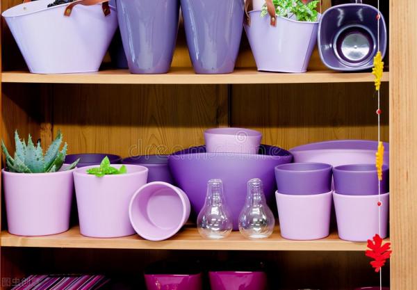 養花是個“無底洞”，能省就省，3種東西網購真的比實體店便宜