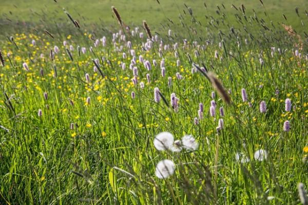 就想說點什麼 就想說點什麼