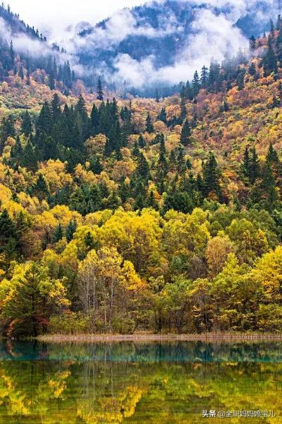 分享——令人迷幻的九寨溝