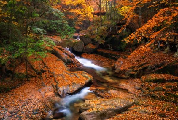 這才是11月最推薦去的景點，秋色正美還小眾，適合閒居兩三日