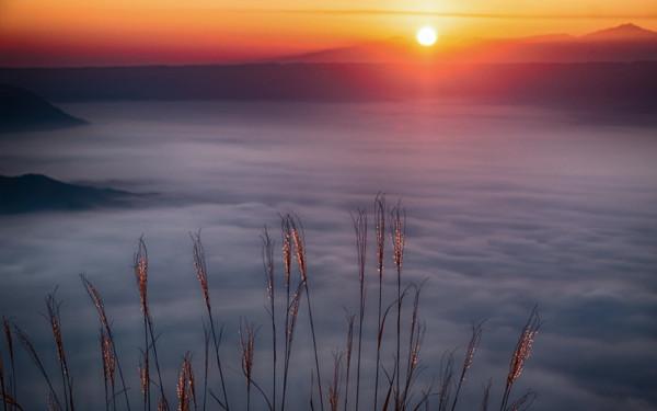 真正厲害的人,懂得“照鏡子效應” 真正厲害的人,懂得“照鏡子效應”