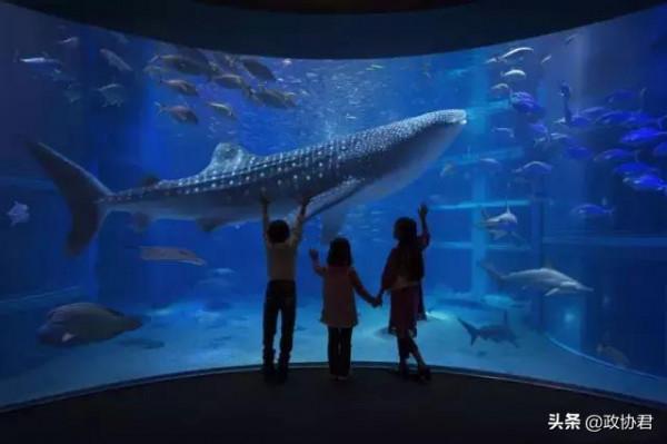 孩子暑假怎樣合理規劃？這份“家長指南”請收好