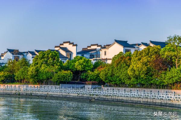 讓人心疼的姐姐