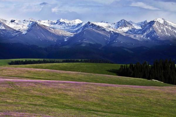 你想要來的新疆2022年是這樣的