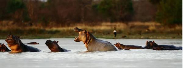 世界美景,我們共賞@非洲獅據點彭賈裡公園 世界美景,我們共賞@非洲獅據點彭賈裡公園