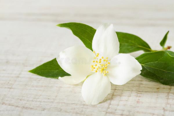 若是遇到這三種親戚，要多走動，因為他們是你的貴人