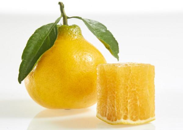 中央植物工廠連鎖模式-柑桔標準化育苗種植的踐行者(1) 中央植物工廠連鎖模式-柑桔標準化育苗種植的踐行者(1)