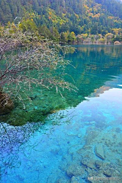 分享——令人迷幻的九寨溝