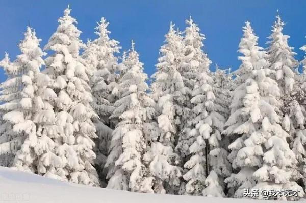 感受祖國風光 感受祖國風光