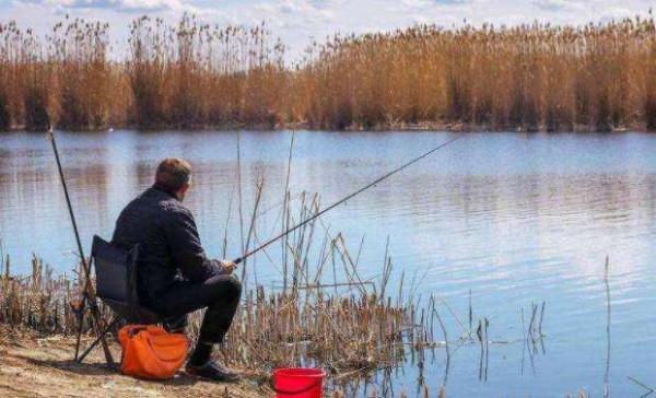 開春第一竿,替釣友們探路了,釣獲一群鯽魚仔 開春第一竿,替釣友們探路了,釣獲一群鯽魚仔