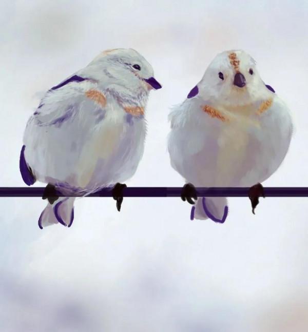 60多張雙比翼鳥圖欣賞