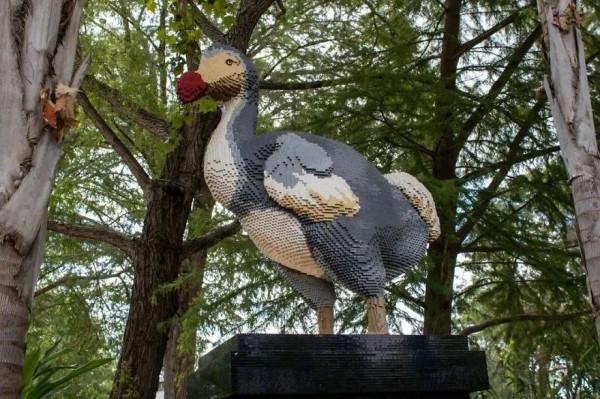 動物園驚現樂高搭建的動物展品,真是美爆了 動物園驚現樂高搭建的動物展品,真是美爆了