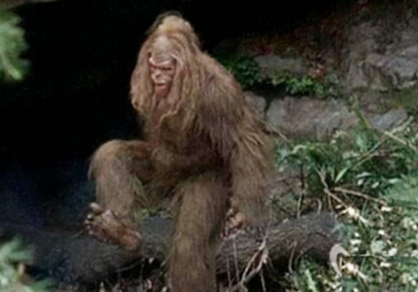 1958年日本獵戶發現“野人”,警察將其抓住後發現,他竟是中國人 1958年日本獵戶發現“野人”,警察將其抓住後發現,他竟是中國人