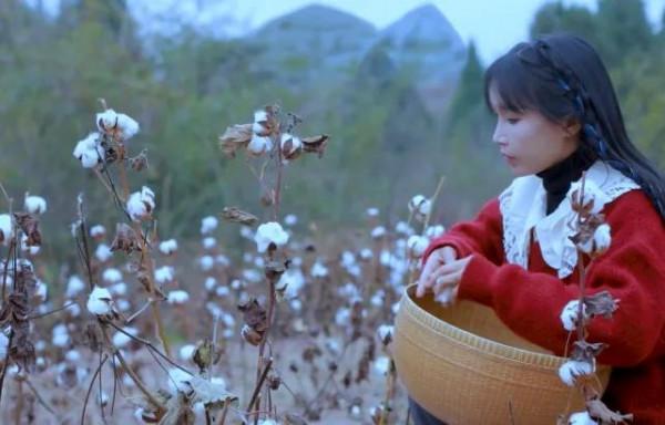 李子柒傳播的十大東方文化十首詩（前五），她與薇婭你更喜歡誰？