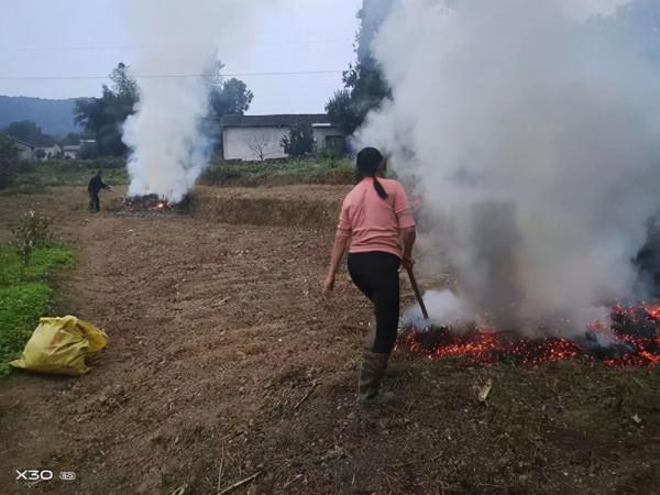 焚燒火土灰，汙染空氣嗎？