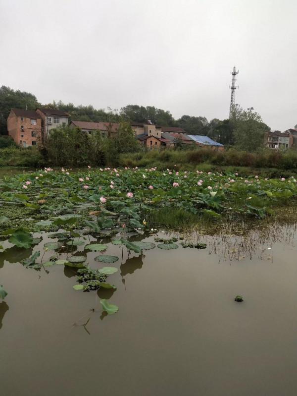 玩玩小短杆，輕鬆隨意