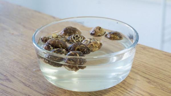 天冷了，6道熱騰騰的湯端上桌，營養全面好消化，暖暖活活過深秋