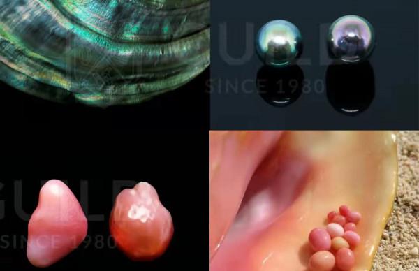 貝殼也可成為藝術品，中國螺鈿PK國外卡梅奧，誰比較好看？