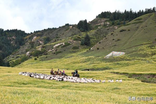 甘肅有座秘境小城,物價低,景點豐富秋色甚美,適合國慶去旅行 甘肅有座秘境小城,物價低,景點豐富秋色甚美,適合國慶去旅行