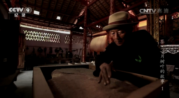 COP15生態系統篇|普洱景邁山:人、茶與自然,一葉千年 COP15生態系統篇|普洱景邁山:人、茶與自然,一葉千年