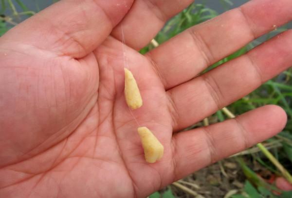 釣友間“相剋”之說是否是玄學？我總結出3點原因來解釋