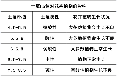 養花調節酸性土，只補“鐵”？多加一樣“溶液”，輕鬆改善酸性土