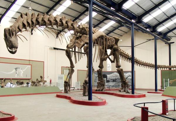 世界上最大的恐龍有多重？