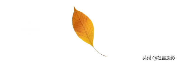 深秋在哪裡 深秋在哪裡