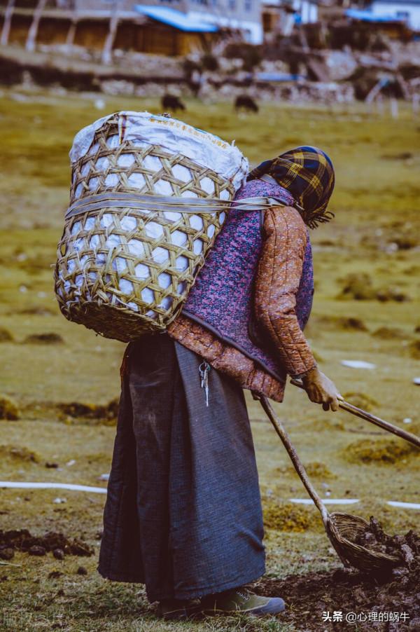 大年初二，我在虛擬世界裡撿羊糞