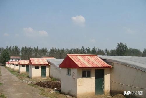 2021年再次提到“大棚房”,全面排查整治三類問題,村民應當瞭解 2021年再次提到“大棚房”,全面排查整治三類問題,村民應當瞭解