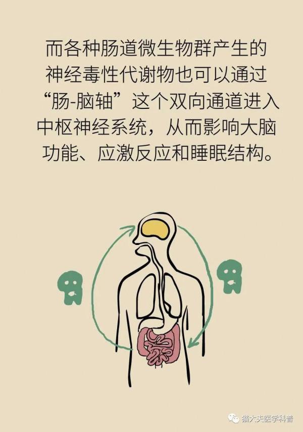 腸子能決定腦子？有趣的“腸-腦軸”瞭解一下