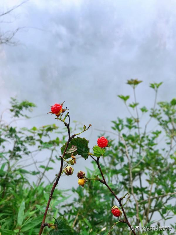 人生很短，天涯很遠，2022如若疫情淡去，唯旅行美食不可負也？